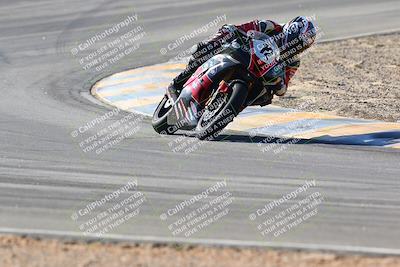 media/Jan-14-2024-SoCal Trackdays (Sun) [[2e55ec21a6]]/Turns 9 and 8 (10am)/